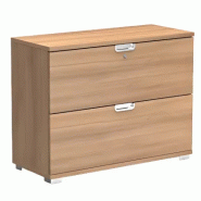 Armoire 2 tiroirs pour dossiers suspendus (L : 100 cm x P : 42 cm x H : 76,60 cm) So Laroya