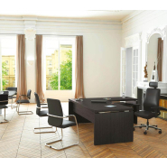 Chaise visiteur design, élégante avec rembourrage généreux adaptée aux espaces direction et aux salles de réunion - VISIT