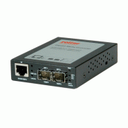 ROLINE Convertisseur Gigabit, RJ-45 - mini GBIC