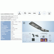 Tête de mât - Candélabre 100W pour éclairage public - 9500Lm - LED remplaçable