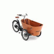 Triporteur électrique Babboe Flow Mountain - boîte Enviolo Nu Vinci - moteur Yamaha 36V 250W