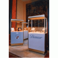 Vitrine de joaillerie