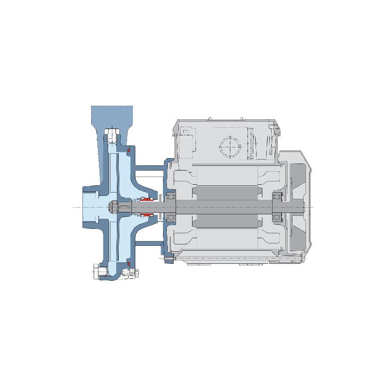 Pompe De Surface Eau Charg E Calpeda Cm Kw M H V Pompe Centrifuge Roue Ouverte