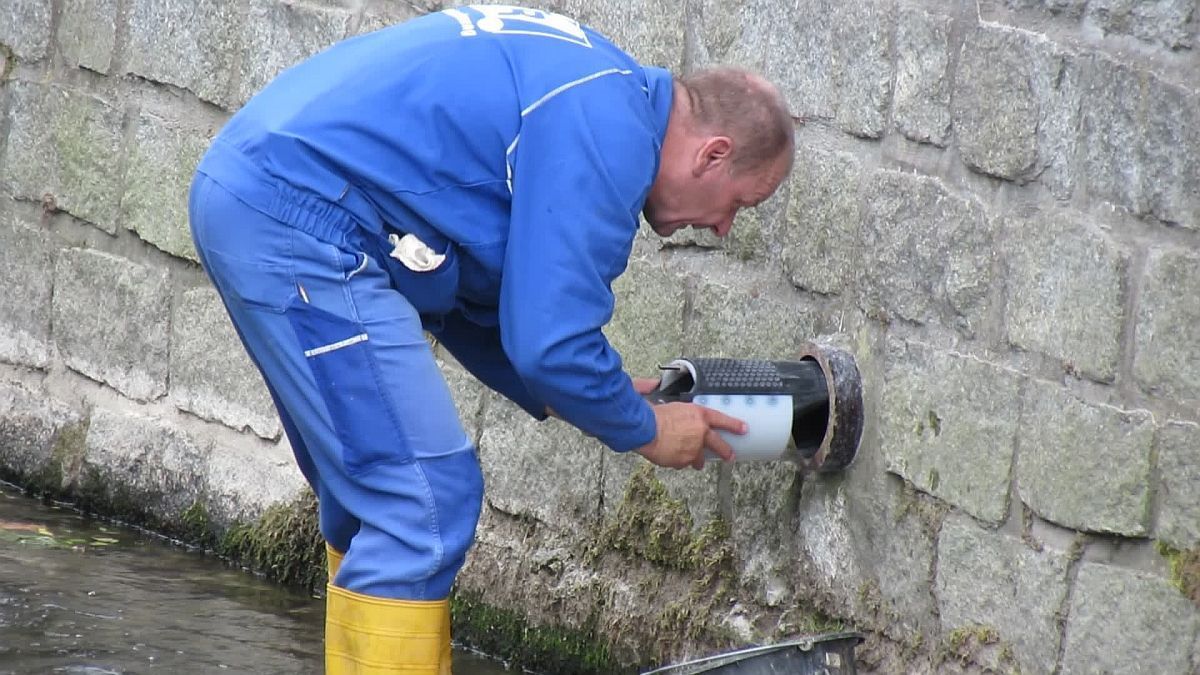 Clapet anti-retour eau usée de canalisation