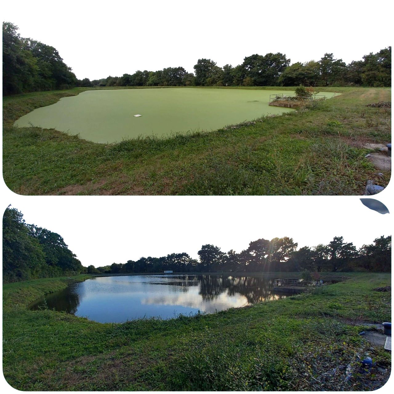 Systèmes de pompage de lentilles d'eau